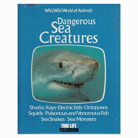 Dangerous Sea Creatures